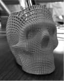 3d модель черепа